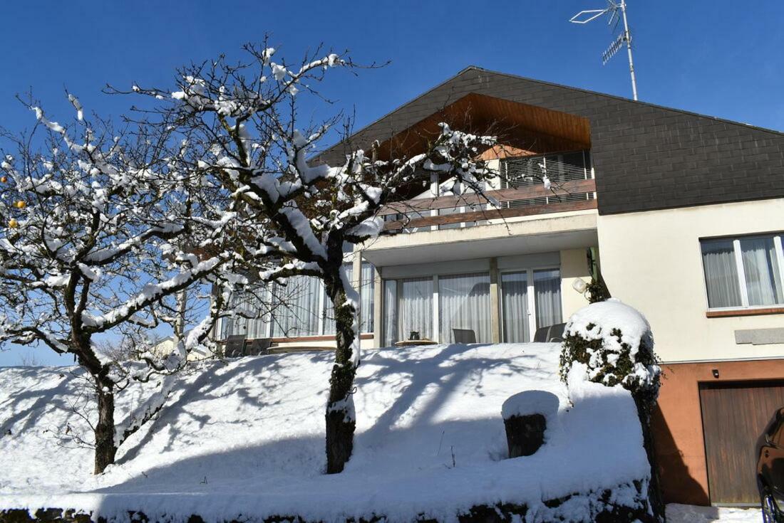 Maison Familiale A Montreux Avec Vue Sur Le Lac Villa Exterior photo