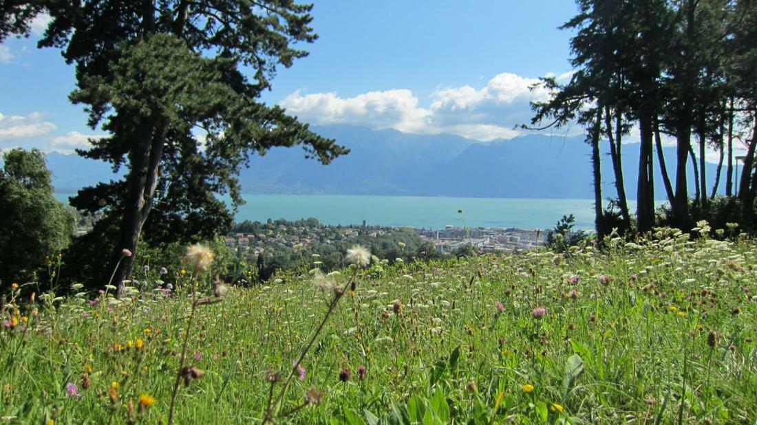 Maison Familiale A Montreux Avec Vue Sur Le Lac Villa Exterior photo